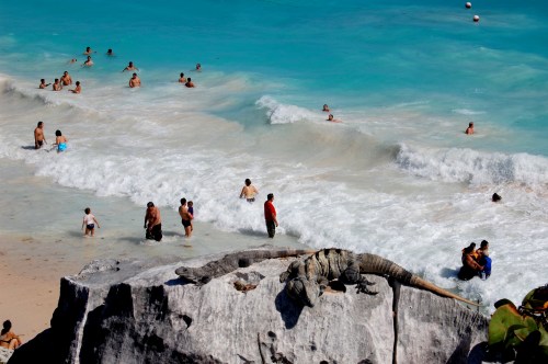 SOAKING UP THE SUN: Beachgoers in Tulum, Mexico are not the only ones enjoying the rays.